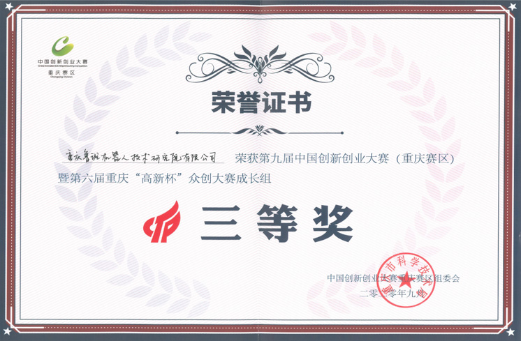 第九届中国创新创业（重庆赛区）三等奖